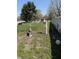 Backyard with a wooden fence, grass, and a deer statue at 1623 S Grant Ave, Indianapolis, IN 46203