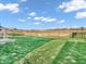 A spacious backyard with a well-manicured lawn, and a black fence showcasing the open field behind the property at 3053 Creekridge Ct, Columbus, IN 47201