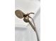 Shower head with dual nozzles and metal finish at 5424 Milhouse Rd, Indianapolis, IN 46221