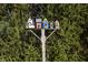 Charming display of birdhouses mounted on a post in front of an evergreen tree at 5441 Red Hawk Ln, Greenwood, IN 46142