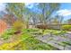 Private backyard with lush foliage and potential for landscaping at 835 N Dearborn St, Indianapolis, IN 46201