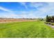 Expansive backyard showcasing a lush lawn extending to the neighboring homes, ideal for outdoor activities and relaxation at 11685 Platt St, Noblesville, IN 46060