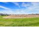 Large grassy area in the backyard, with a view of the neighboring houses, offering a serene and open outdoor space at 11685 Platt St, Noblesville, IN 46060