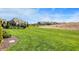 Scenic view of the backyard showing the well-maintained lawn and neighborhood beyond, bordered by manicured landscaping at 11685 Platt St, Noblesville, IN 46060