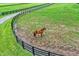 Scenic view of a horse in a fenced pasture with lush greenery, and a winding path, providing a tranquil, countryside lifestyle at 1581 S 825 E, Zionsville, IN 46077