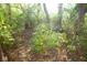Lush backyard with mature trees creating a private and serene natural setting at 1060 Cape Coral Dr, Cicero, IN 46034