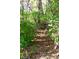 Scenic backyard showcasing natural foliage, providing a peaceful and secluded atmosphere at 1060 Cape Coral Dr, Cicero, IN 46034