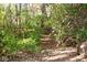 Wooded nature path with fallen leaves and lush greenery, offering a serene escape into nature at 1060 Cape Coral Dr, Cicero, IN 46034