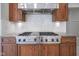 Close-up of a gourmet stovetop and range hood with custom cabinetry at 10628 Walnut Creek W Dr, Carmel, IN 46032