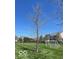 Lush community soccer field with neatly striped grass, a tree and views of houses in the background at 15150 Mooring E Cir, Carmel, IN 46033