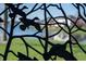 Close-up of the custom railing with artistic duck detail overlooking lush backyard and lake at 1927 Westminster Pl, Columbus, IN 47201