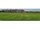 A lush green field with trees and other homes in the background at 3476 Golden Gate N Dr, Carmel, IN 46074