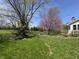 Large green backyard with trees, lawn, and partial home view at 10404 Trillium Ct, Noblesville, IN 46060