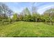Serene backyard with lush green grass and a black fence, offering privacy and a great place for activities at 15341 Montfort Dr, Noblesville, IN 46062