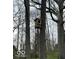 Backyard features a birdhouse mounted on a tree trunk with a wooded landscape backdrop at 6454 Dean Rd, Indianapolis, IN 46220