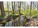 Small creek flowing through a wooded area on the property at 6454 Dean Rd, Indianapolis, IN 46220