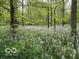 Lush woodland landscape with a carpet of wildflowers in full bloom, showcasing natural beauty at 6454 Dean Rd, Indianapolis, IN 46220