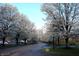 Scenic street view lined with blooming trees and parked cars, offering a serene and inviting atmosphere at 6516 Emerald Hill Ct # 310, Indianapolis, IN 46237