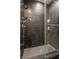 Modern shower with black, vertical tiling, glass door and dual shower heads at 8155 Hunt Club Rd, Zionsville, IN 46077