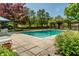 Backyard pool area with stone patio, mature trees, and privacy wall at 290 Breakwater Dr, Fishers, IN 46037