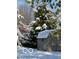 A snow covered evergreen tree and shed after a winter storm at 11525 Capistrano Cir, Indianapolis, IN 46236