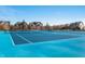 Community tennis courts in a large open space with a neighborhood nearby at 1614 Waterleaf Dr, Westfield, IN 46074