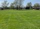 Large, well-maintained field with lush green grass and scattered trees at 2227 S County Road 300 E, Danville, IN 46122