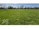 Expansive front yard featuring lush green grass and mature trees under a bright, sunny sky at 2227 S County Road 300 E, Danville, IN 46122
