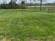 Lush green front yard with mature trees and freshly mowed grass, dotted with yellow wildflowers at 2227 S County Road 300 E, Danville, IN 46122