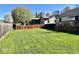 Lush backyard with green grass and wood fence, offering plenty of space at 305 S Schroeder Rd, Muncie, IN 47304