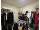 Walk-in closet featuring shelving and racks for organized storage at 5269 Parkhurst Xing, McCordsville, IN 46055