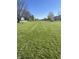 Large green backyard with mature trees at 7675 Mistflower Ln, Noblesville, IN 46062