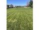 View of the well-maintained, expansive backyard, perfect for recreation and relaxation at 7675 Mistflower Ln, Noblesville, IN 46062