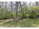 Spacious backyard with partially wooded lot and manicured lawn at 10839 Cedar Pine Dr, Indianapolis, IN 46235