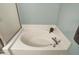 An oversized tub and shower combination is accentuated by the gray paint and large mirror at 11631 Tamarisk Blvd, Fishers, IN 46037