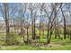 A tranquil backyard scene featuring mature trees and a grassy area, perfect for nature lovers at 14413 Arnett Dr, Carmel, IN 46033