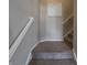 Carpeted stairway with white railing at 270 Lazy Hollow Dr, Brownsburg, IN 46112