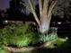 Front yard at night showcasing a mature tree, manicured landscaping, and a glimpse of the home's facade in the distance at 3155 W 57Th St, Indianapolis, IN 46228