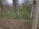 Wooded yard with mature trees and natural ground cover, creating a peaceful and private outdoor space at 366 E 200 N, Franklin, IN 46131