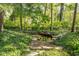 Peaceful backyard pond featuring mature trees and lush landscaping at 4151 N Pennsylvania St, Indianapolis, IN 46205