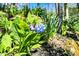 Delicate bluebell flowers blooming amidst lush green foliage, bringing a touch of natural beauty to the landscape at 7545 Chablis Cir, Indianapolis, IN 46278