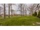 Expansive green space featuring a lush lawn, mature trees, and a building in the distance at 861 S Park Trail Dr, Carmel, IN 46032