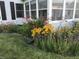 Beautifully landscaped garden featuring a variety of colorful flowers and lush greenery at 14195 Holly Berry Cir, Fishers, IN 46038