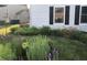 Landscaped flower bed with white and purple flowers at 14195 Holly Berry Cir, Fishers, IN 46038