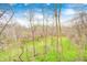 Lush backyard view featuring a variety of trees and spring foliage under a bright blue sky at 1907 N Washington St, Danville, IN 46122
