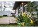 Close-up view of a well-kept yard with vibrant yellow flowers in a residential neighborhood at 248 Parkview Dr, Whiteland, IN 46184