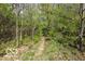 Backyard trail surrounded by lush vegetation, shrubs, and mature trees at 701 Danver Ln, Beech Grove, IN 46107