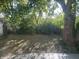 Backyard featuring a large tree providing shade, wooden deck and lush green foliage at 1 Lenora Ave, Indianapolis, IN 46231
