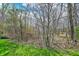 Picture of the wooded backyard with green grass, with some of the woods cleared to see the lot lines at 13314 Lansbury Ln, Fishers, IN 46037