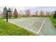 Outdoor basketball court featuring well-maintained playing surface and trees enhancing the recreational amenities at 13933 Wildcat Dr, Carmel, IN 46033